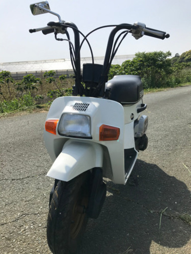 HONDAスカッシュ　6v