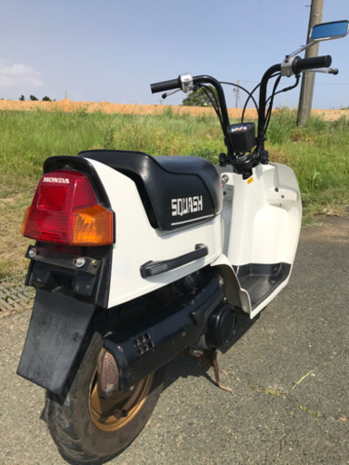 HONDAスカッシュ　6v