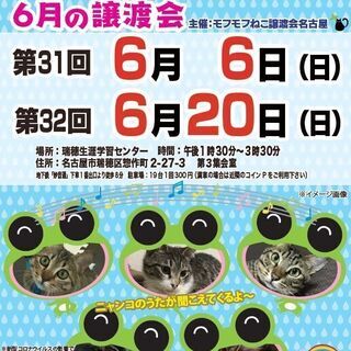 6/6(日)　猫の譲渡会　in　名古屋市瑞穂生涯学習センター