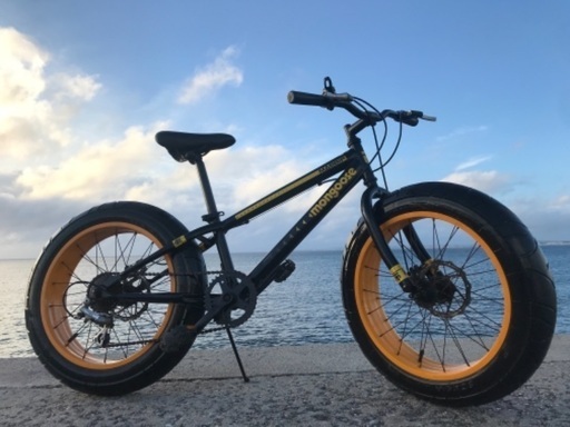 mongoose 　 BIG スリックタイヤ　Wディスク