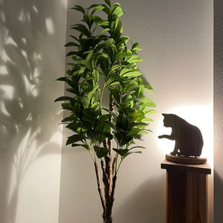 猫の間接照明/杉無垢材/スイッチ付きライト