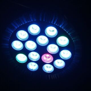 LEDスポットライト　１５灯