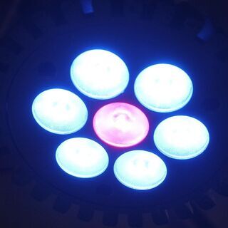 LEDスポットライト　６灯 青　５灯　赤1灯　