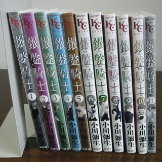 小川彌生「銀盤騎士」全11巻セット