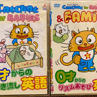 英語知育DVD 0才から CatChat for Babies