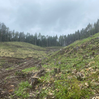 ‼️🌳植栽のお仕事🌳‼️単発OK‼️