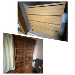 報酬20000円！ 引き取り希望！