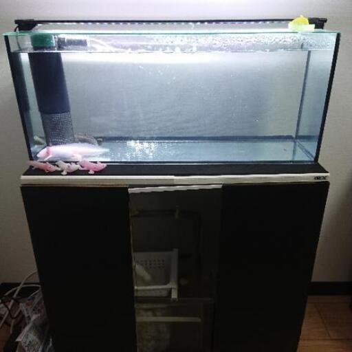 自作60㎝オーバーフロー、水槽台