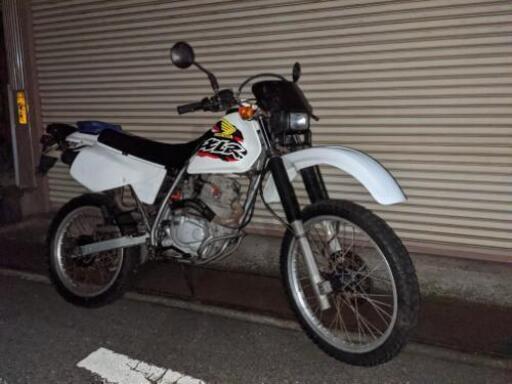 XLR125R オフロード フルサイズ 原付2種