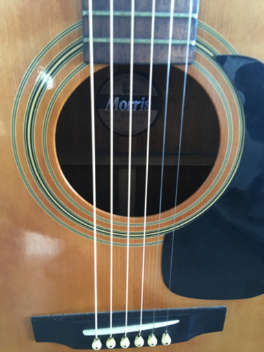 Morris MD-502ギター MORRIS モーリス MD-502 アコースティックギター
