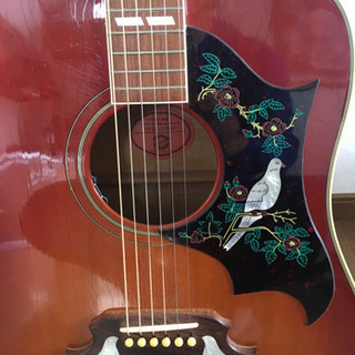 ギブソンギター　ハミングバードDove
