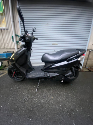 シグナス絶好調！