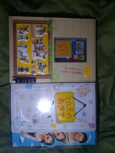 マルモのおきて初回限定版DVD box