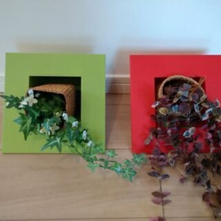 壁掛け用観葉植物　プラスチック容器　グリーン＆レッド