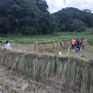 6月　7月短期募集　神余　村づくりプロジェクト　農作業・イベント...