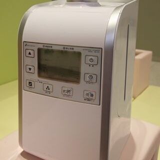 【ネット決済・配送可】超音波噴霧器　(星光技研)