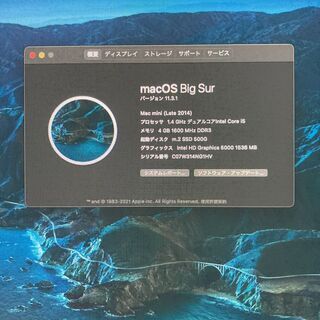 土曜24時まで！超カスタム Mac mini 2014【大容量SSD2ドライブ】 SSDが2