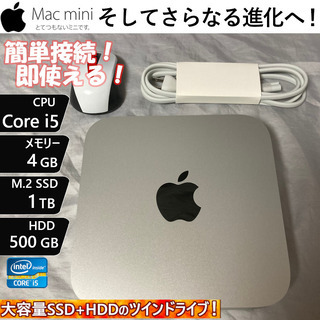 超カスタム Mac mini 2014【SSD+HDDの２ドライ...