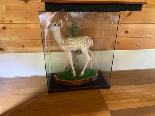 バンビの剥製小鹿本物美品