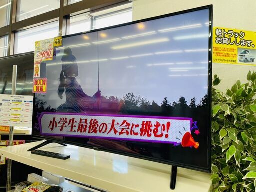 高年式IRISOHYAMA(アイリスオーヤマ) 4Ｋ対応50型テレビ ⭐定価￥65.800⭐  2021年 50UB10P