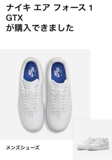 スニーカー Nike GORETEX af1 27.5