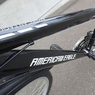 american eagke マウンテンバイク 整備済み(12)