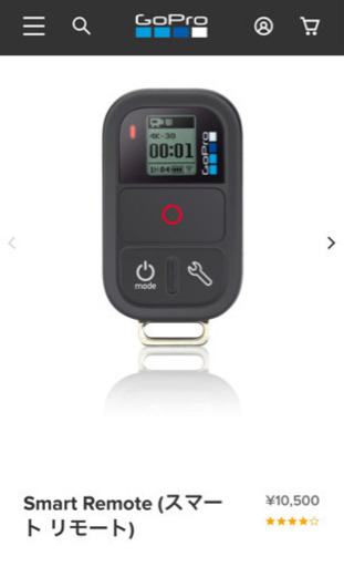 GoPro Smart Remote (値下げしました！)