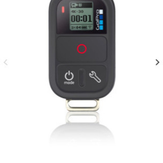 GoPro Smart Remote (値下げしました！)