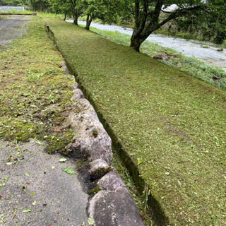 刈り払い機の資格者が対応致します‼️5000円〜‼️