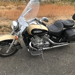 ロイアルスター1300