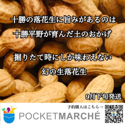 コロナ支援 予約特別価格十勝芽室産茹で用生落花生郷の香メークインのオマケ付き 林原農場 河西のその他の無料広告 無料掲載の掲示板 ジモティー