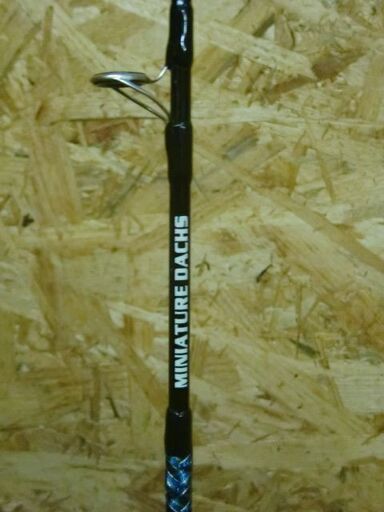 激レア！ミニチュアダックス 2000 B-LMITED ジギングロッド 穴釣ロッド