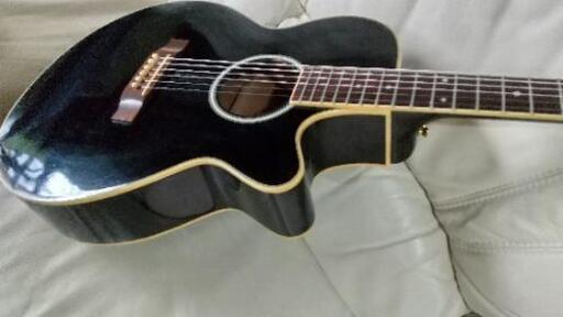 Pro　MARTIN　エレアコギター