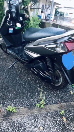 シグナス2かたー
