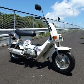 シャリー50　12V　中古車