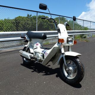 シャリー50　12V　中古車