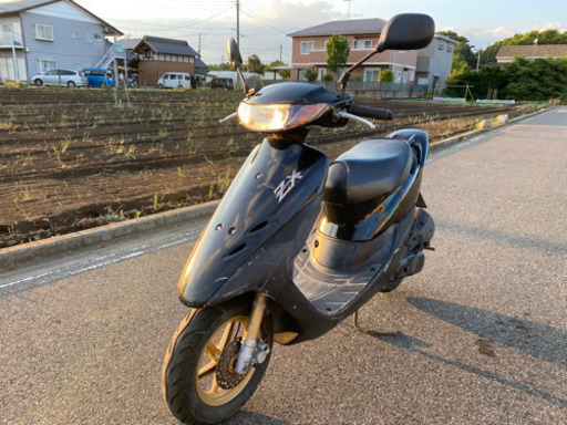 ホンダ ライブディオZX 車 バイク