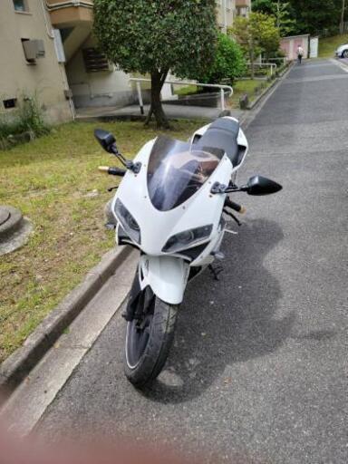 メガリ 250R | complexesantalucia.com