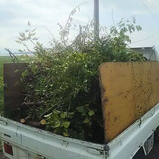 木を切ってトラックで運ぶ🌸簡単な作業の手伝いをお願い致します！
