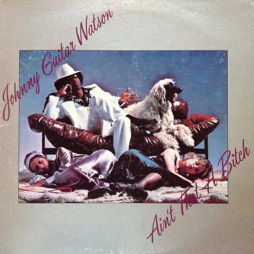 レア　JOHNNY GUITAR WATSON　\