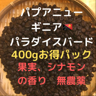 【ネット決済・配送可】自家焙煎コーヒー豆　パラダイスバード(豆又は粉)