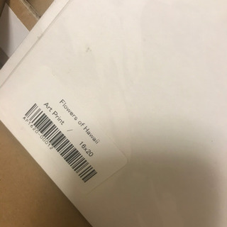 未開封品　ヘザーブラウン　最大サイズ