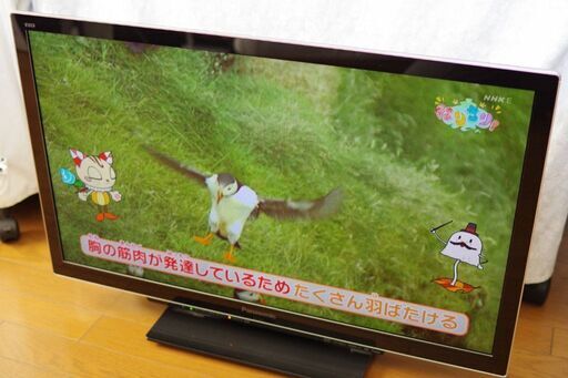 32インチ(HDMI接続 FHD 1920x1080)ディスプレイ(VIERA-DT3) \u0026 USB接続録画用HDD 2TB \u0026 HDMIケーブル(2m)