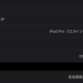 iPad Pro 12.9インチ 128gb Wi-Fiモデル スペースグレイ