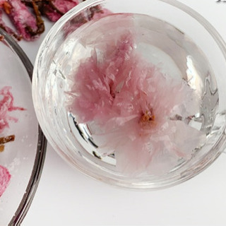 塩漬け 桜の花 M-5 100g