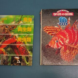 子どもの図鑑『魚』『昆虫、両生類、爬虫類』