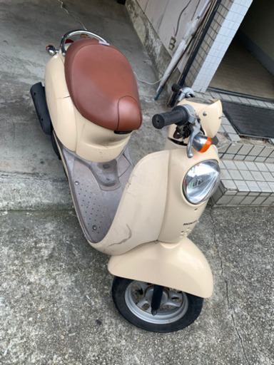 スクーピー　ベージュ