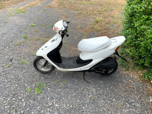 ライブディオZX仕様　原付　バイク　50cc   車体　本体