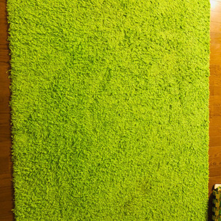 【無料】IKEA絨毯/緑/明るい