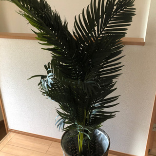 人工観葉植物　アレカヤシ　150cm 